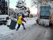 Black bin collection