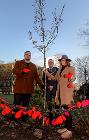 Councillor Damien Greenhalgh, Mayor Councillor Paul Hardy and Shirley Woods-Gallagher with the tree in Norfolk Square, Glossop