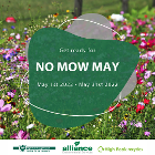 No mow may